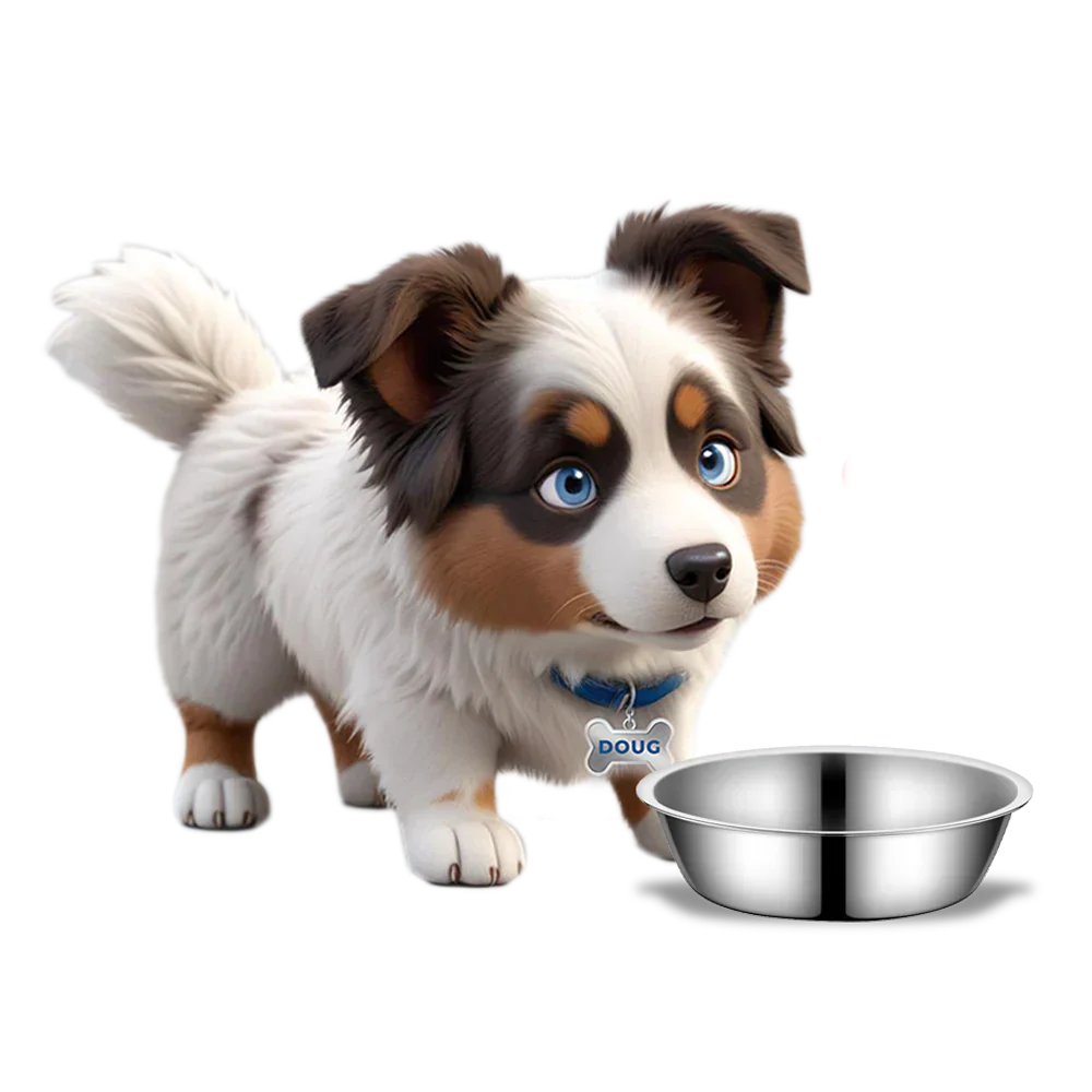 Accessoire petit chien