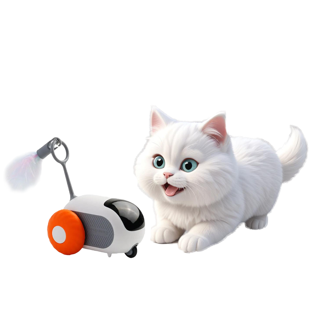 Jouet robot chat