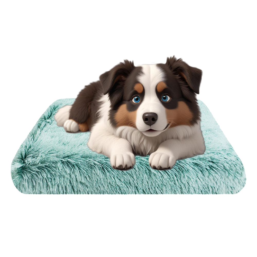Coussin apaisant chien