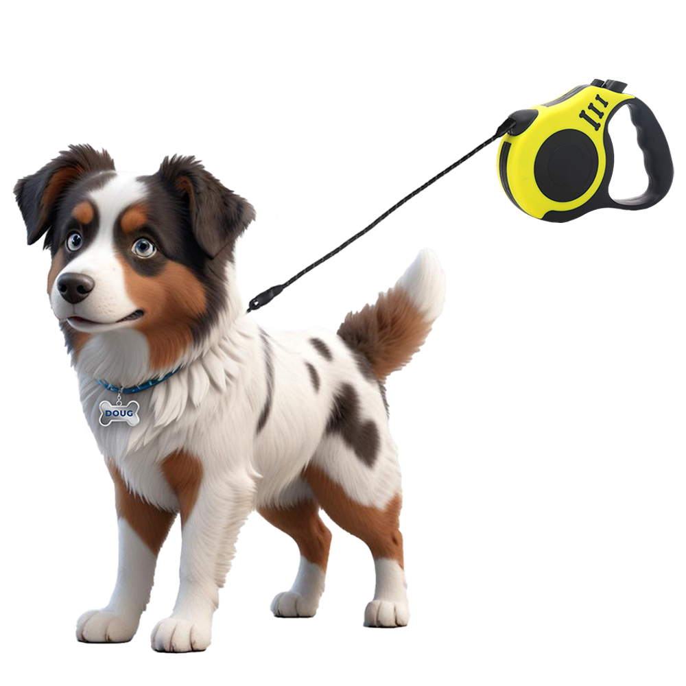 Laisse retractable pour Chien