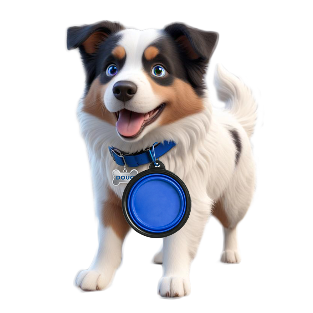 Gamelle portable chien