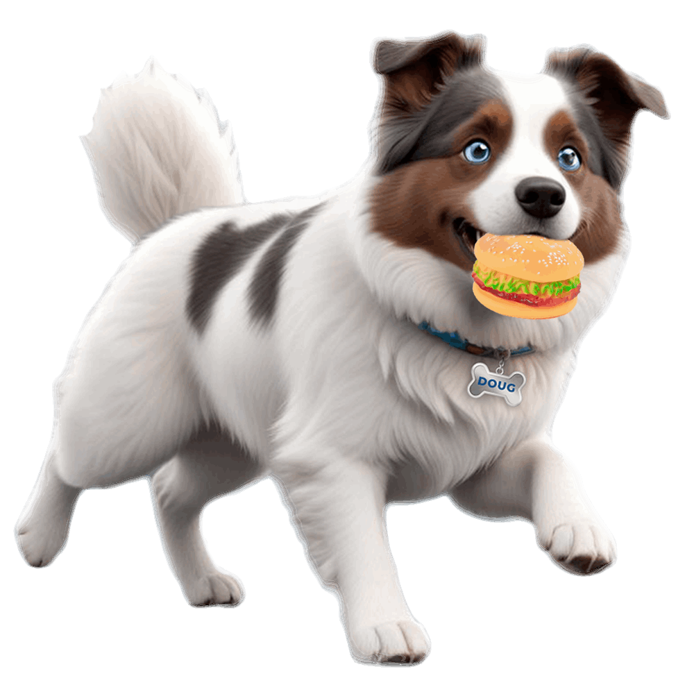 jouet hamburger pour chien