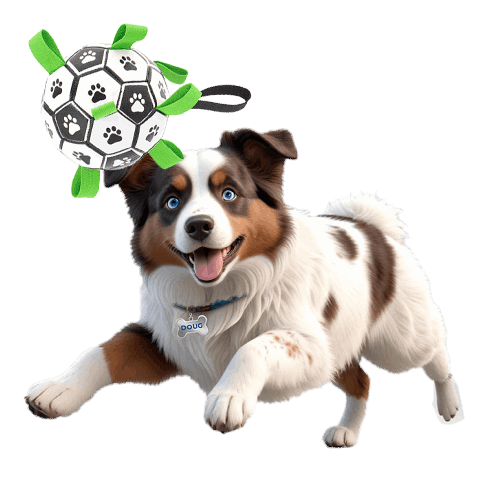 Balle interactive pour chien